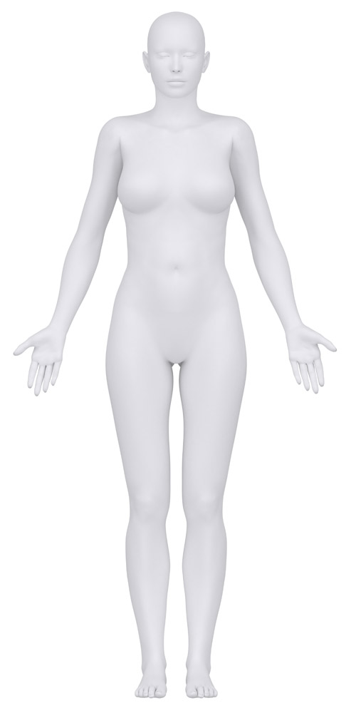 女性人体模型图片素材 图片id 人体器官图 人物图片 高清图片 素材宝scbao Com